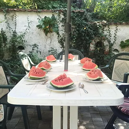 Apartman Panka House