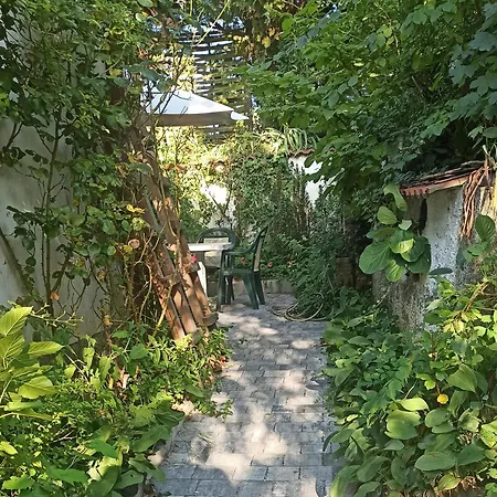 Panka House Διαμέρισμα *