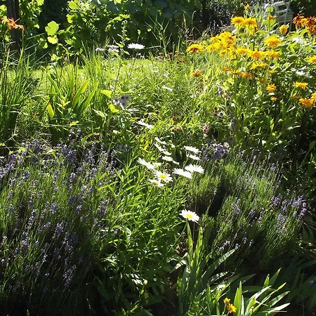 Διαμέρισμα Panka House