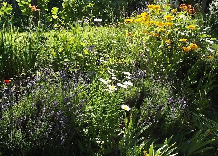 Apartment Panka House